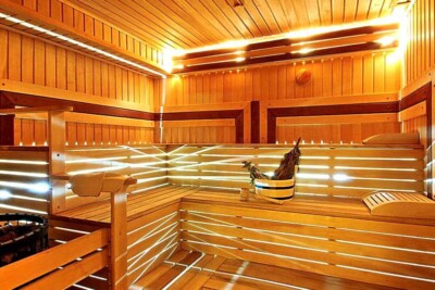 Troy Hotel sauna
