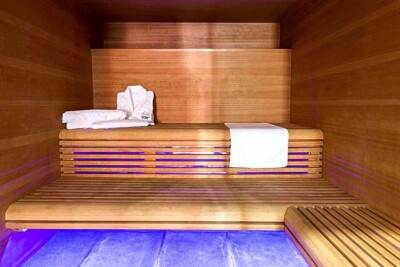 Hotel and Spa Ciudad de Binefar sauna