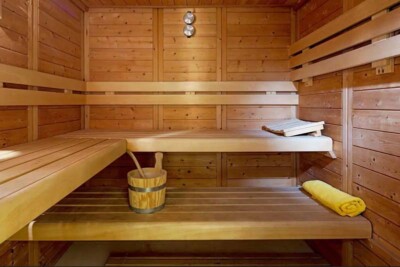 Theoxenia Palace Hotel sauna