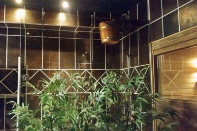 Aphrodite Spa sauna