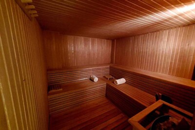 Hotel and Spa Agua del Corral sauna
