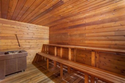 Econo Lodge Inn and Suites sauna