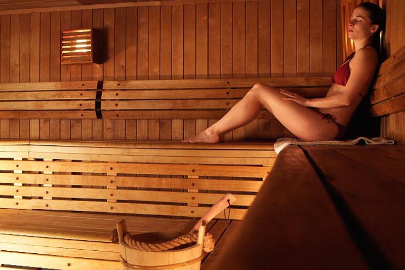 Hotel Mercure Orleans Portes de Solognee sauna