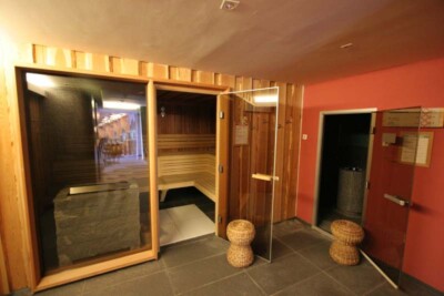 Hotel Alpina sauna