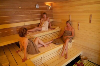 Hotel Waldschlosschen sauna