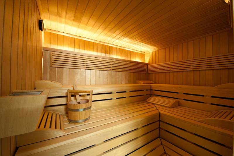 Hotel Alpine Lodge sauna