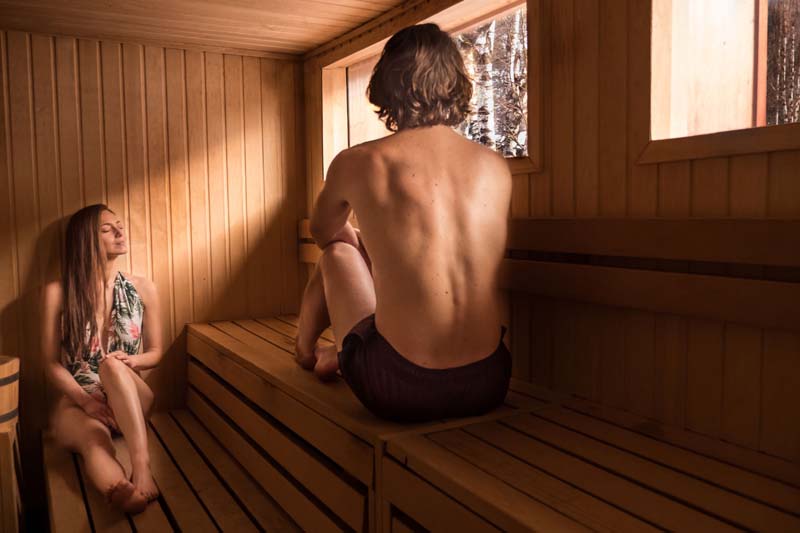 Le Refuge des Aiglons sauna