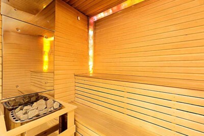 Novotel Moscow Sheremetyevo Airport sauna