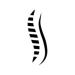 Fizjo4life Logo