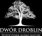 Dwór Droblin Logo