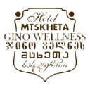 Hotel Gino Wellness Logo