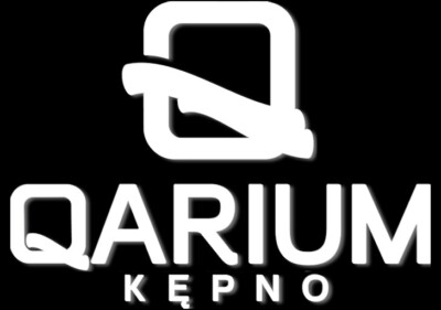 Qarium Kępno Logo