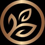 OASIS BEAUTY DAY SPA Logo