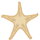 Stella di Mare Sea Club Hotel Logo