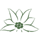 Albergo Edelweiss Logo