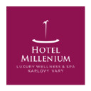 Hotel MILLENIUM Logo